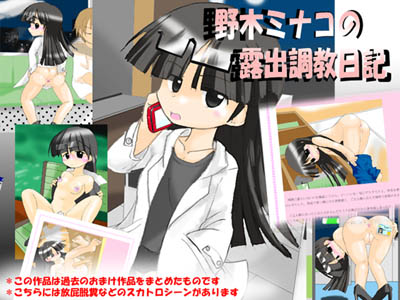 野木ミナコの露出調教日記